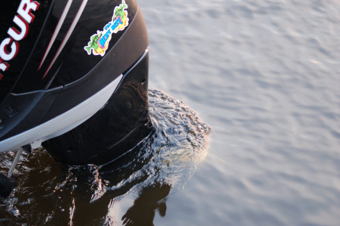 19069BE2-93E1-4345-B700-7308FD891524