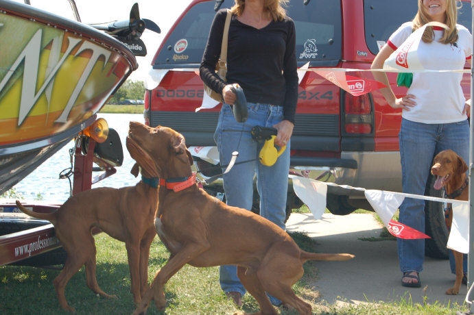 1979F82D-0031-47FE-8727-5BFE909286A9