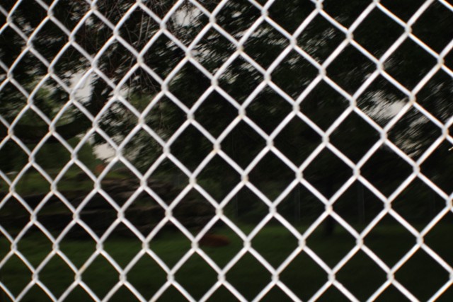 19BA78BA-2E65-4CC1-B156-F18E38377045