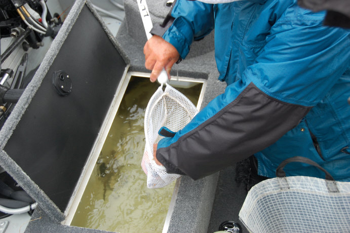 19F9F99D-040C-42F1-8774-7507FD1000AD