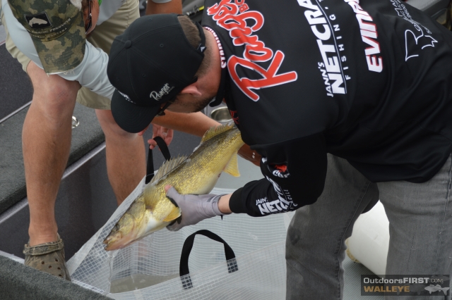 1B6EED6D-A315-4441-81E8-E7AFA20FD96F