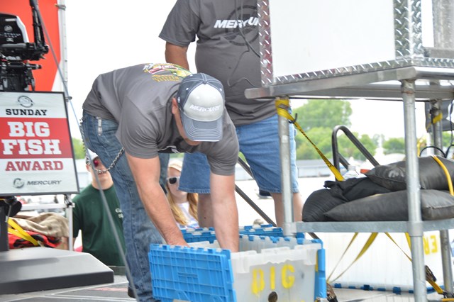 1B81392A-0AAD-4E7A-8B15-1EA2F88E2440