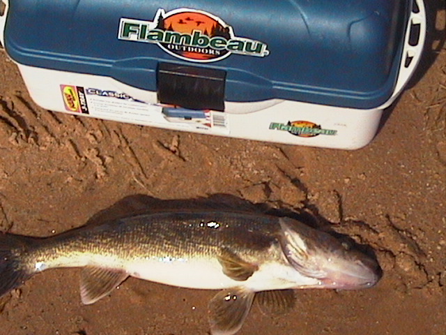 1BFF5906-66D3-43A1-8D27-5E294BA8E101