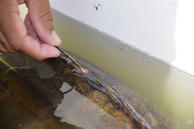 1D403DE7-69DD-4E32-B903-3C3E349A94ED