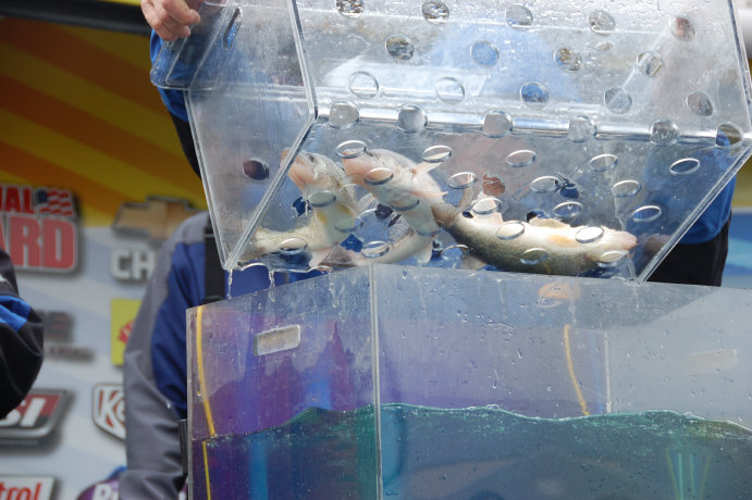 1DD864D2-83F1-40F8-B65E-E73C5F1897CD