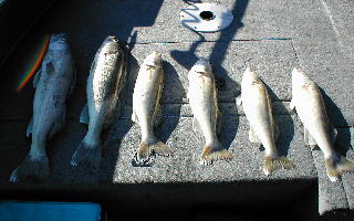 1ECBC67E-55DF-4685-85AF-90BC70449876