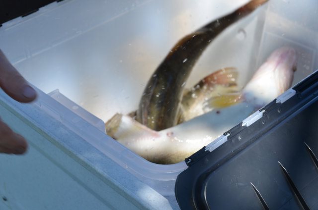 1ECFD266-E0D5-413A-BA64-2311AD59FCA2