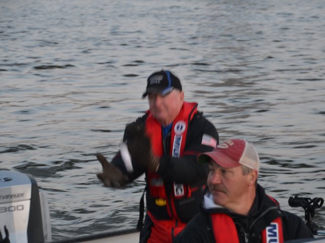 1F3F17F6-AAAA-45D0-8681-2F7E46608BF1