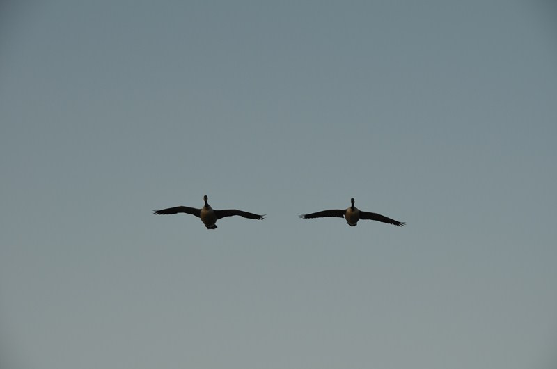 A885AD20-4E63-446E-BC5B-6DDF49864F85