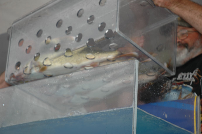 2020594F-4E85-44A6-AE20-F315DCB66611