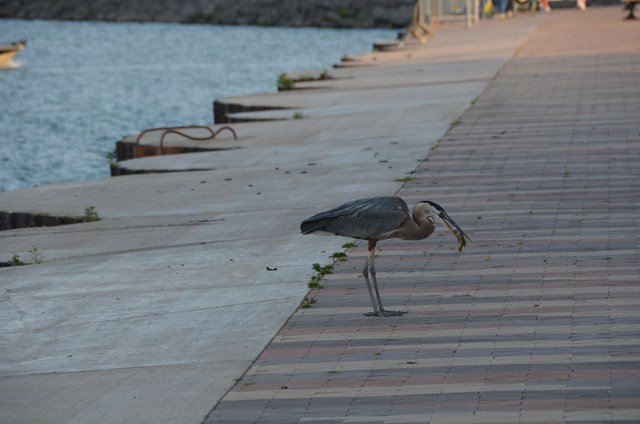 2089A7F1-2D3B-4140-B9DF-5D6D674EAE33