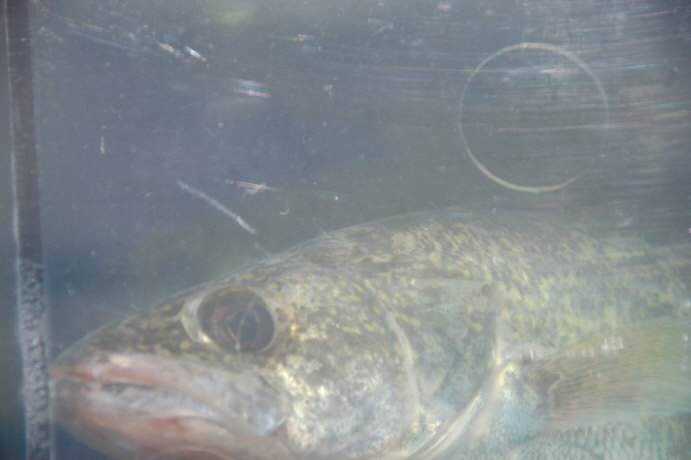 20CCB9A2-0F73-4B13-A66C-F298A5C4B192