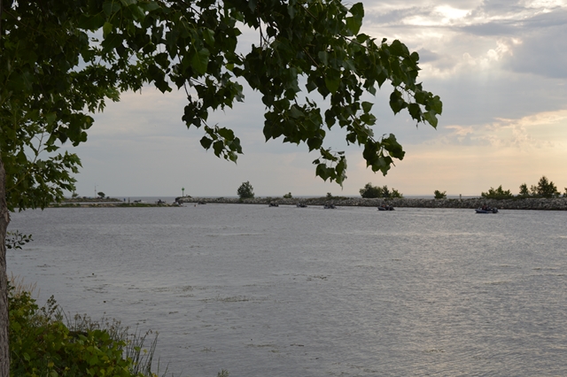 2120E565-6F0C-4A5A-B0B9-3939B65E7E5E