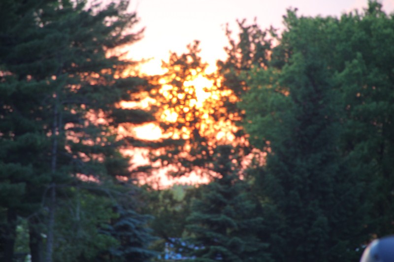 21AA828B-4025-455F-BB5A-B9F6E91F0290