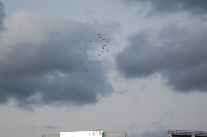 21EF0616-0029-4964-8FE0-22B94DE4E025