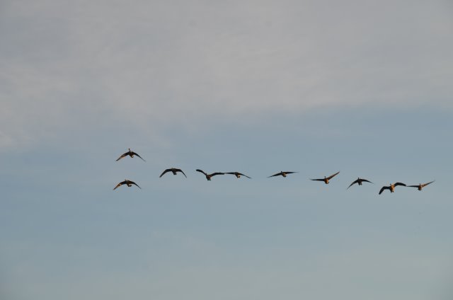 21F2557E-EE9C-44E4-8178-714C2129BF07