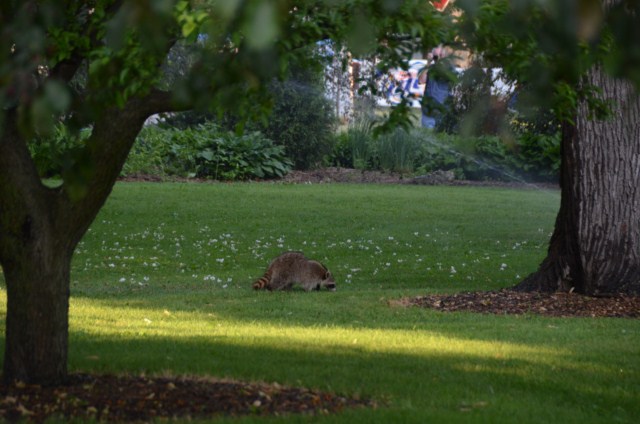 23A66294-9DC1-4905-AB6A-6C81388EADF4