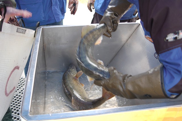 23B420E7-1A03-47B4-BE36-07C6D244BA90