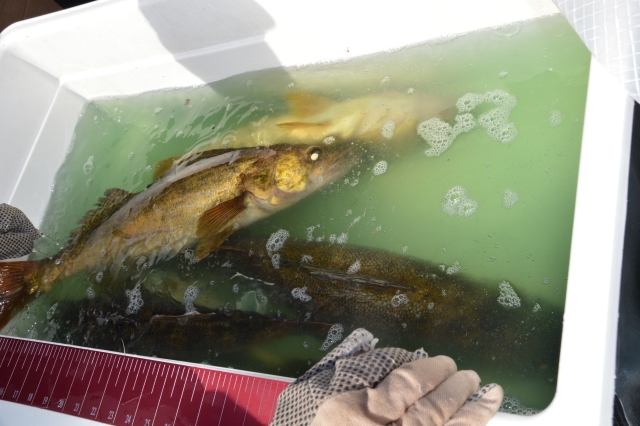 24B75C99-FB29-41DE-A133-ACED0FE8E977