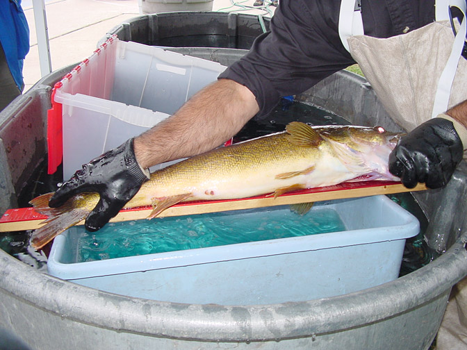 24CBAC29-89EE-4D54-A5CA-FC84F75FB1E4