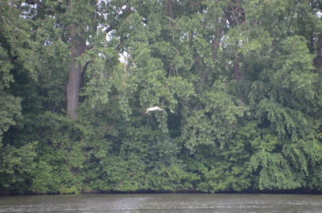 24EB5F3A-5A75-4EE1-84D0-7CA2C08DCBD0