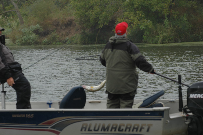 2569F18B-7BD0-48B5-886B-B90CF10CF871