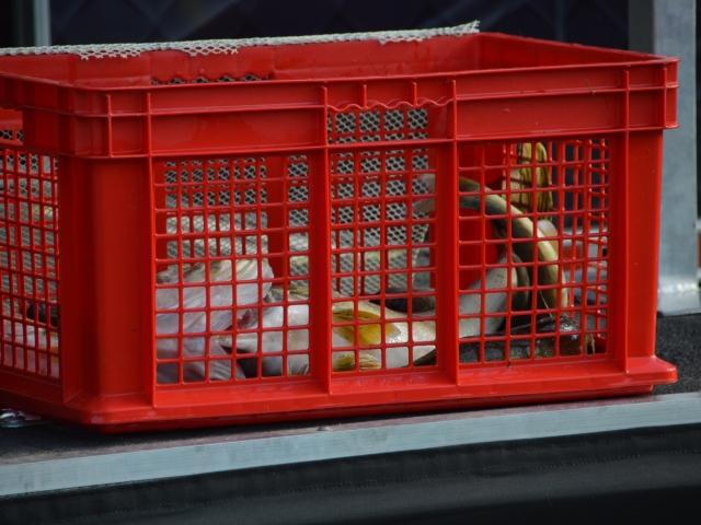 2613BCC2-5AAD-47ED-8FB3-07ECADAE16AD