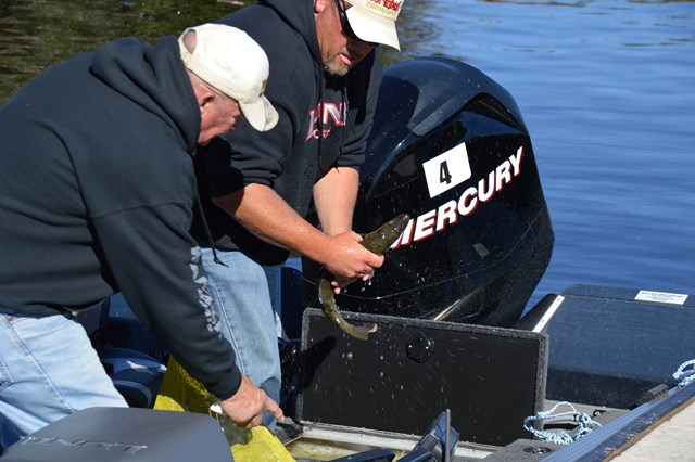 26EA4CE4-6B55-46E9-A50C-2B7ECC60E6CC