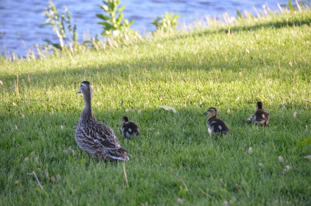 26FED980-DEF2-406E-8098-C5373C751184