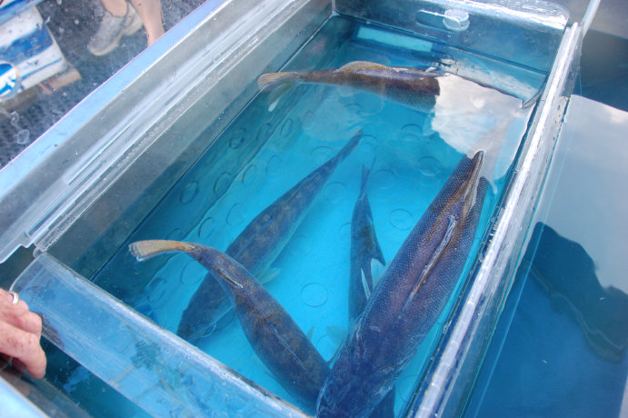 273C2AAA-EC8A-4603-8BDE-70C2CB347726