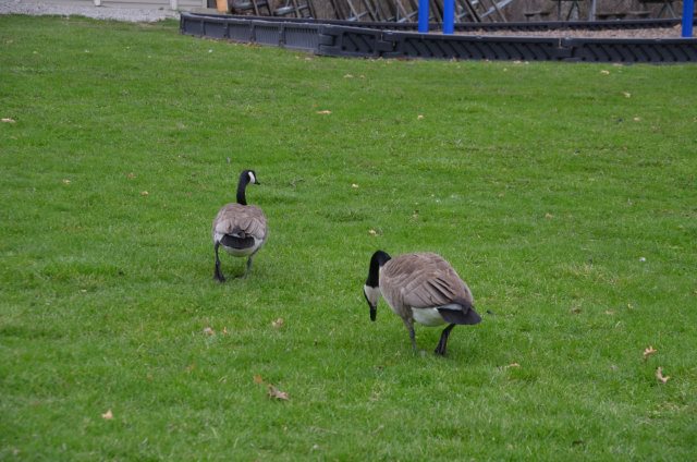 282FAE03-02E4-4FDA-9FC4-7D88C52D001F