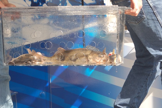 28669F82-A169-42AC-94B8-E38D2A023A0B