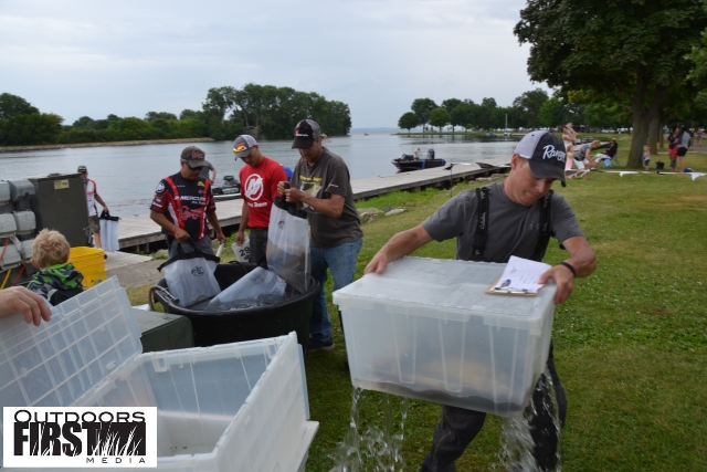 28EEFD63-2B8F-4D9C-BFD3-7665707D5727