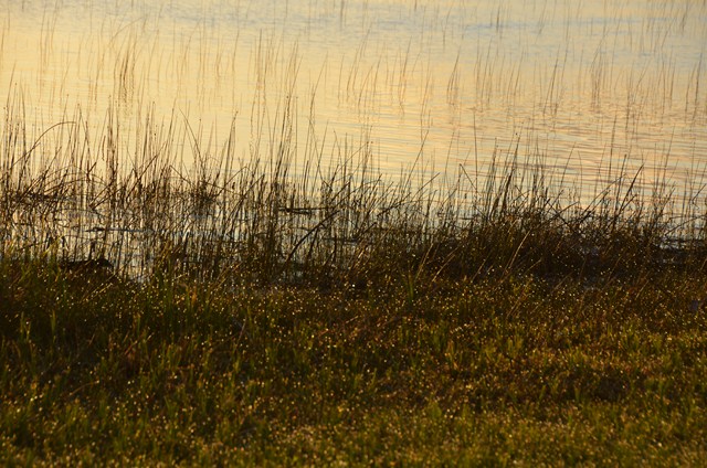 2AECE6DB-235B-467B-A70A-D33B2B644700