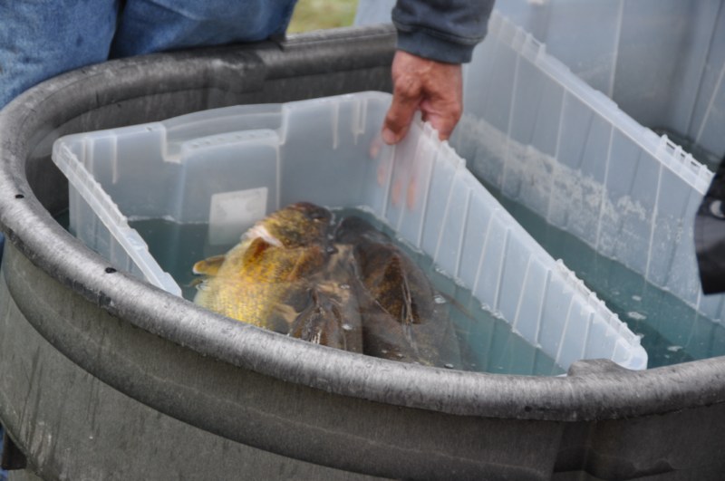 2B963F2A-5C37-4A50-93FC-207FB6BB25E9