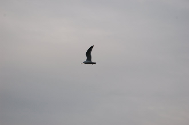 2BC32AE9-F308-4E1B-A7B3-4CB46E888EA6