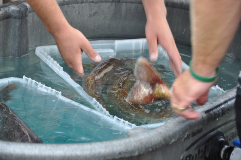 2C85F5FC-7E98-45C8-9385-E166AE4A9A79