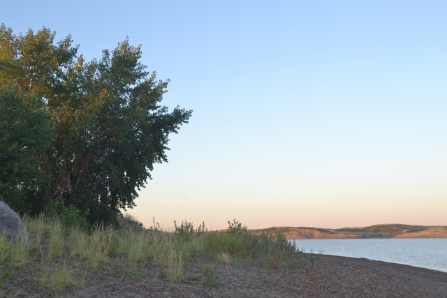 2C8E1EA9-95C7-415C-AAC5-37AB9E66EAB0