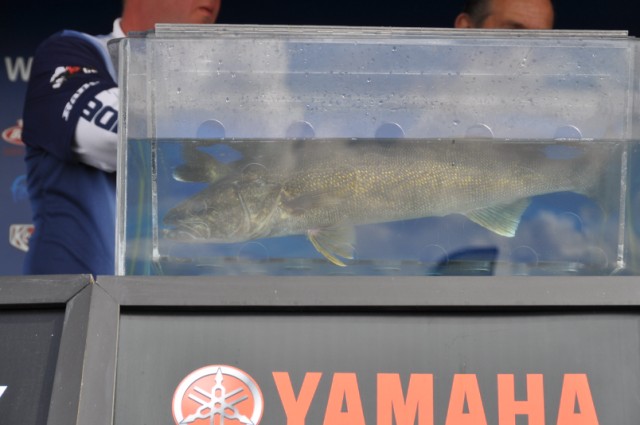 2CAB7C2B-814B-4BCF-A66D-96F350D2B06D