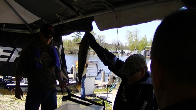 2DCB0AA3-F0ED-4D7E-A6D9-E3B6200366B3