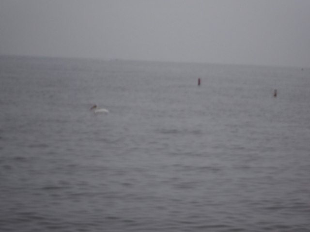 2DE39572-036D-4F3C-8B4E-FC028F239DB2