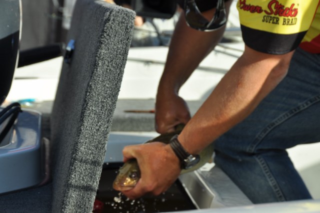 2E211E93-24D0-47A2-A531-8F4BA895BD38