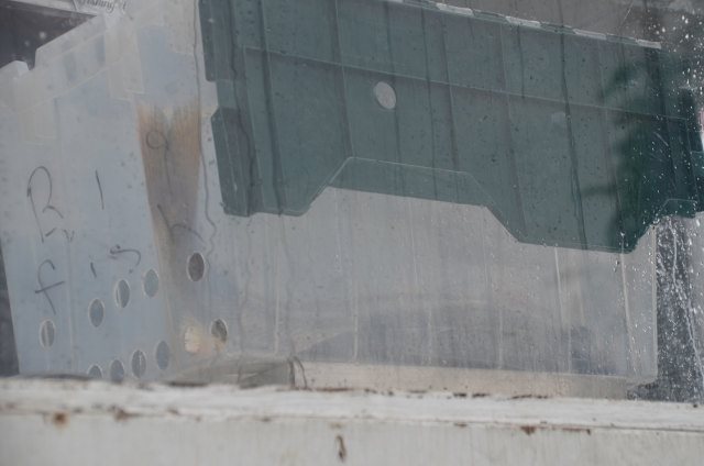 30C5B211-D8A4-491A-88EF-8DC6C5B5816D