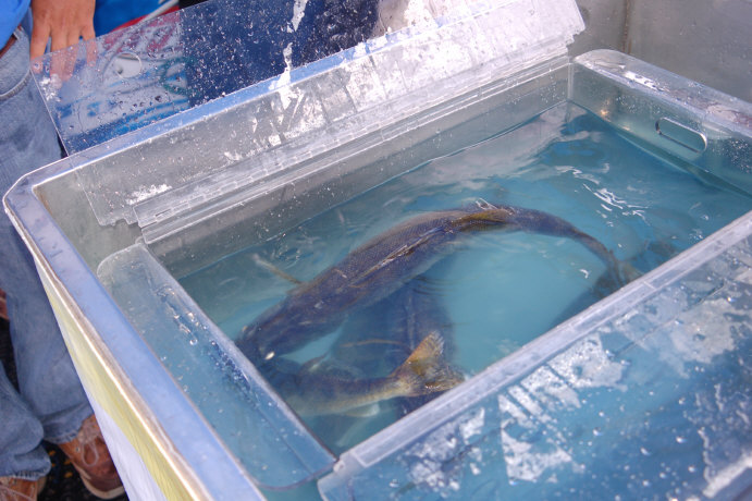 310E3BE2-1737-440B-ABDA-46DA1A3525C2