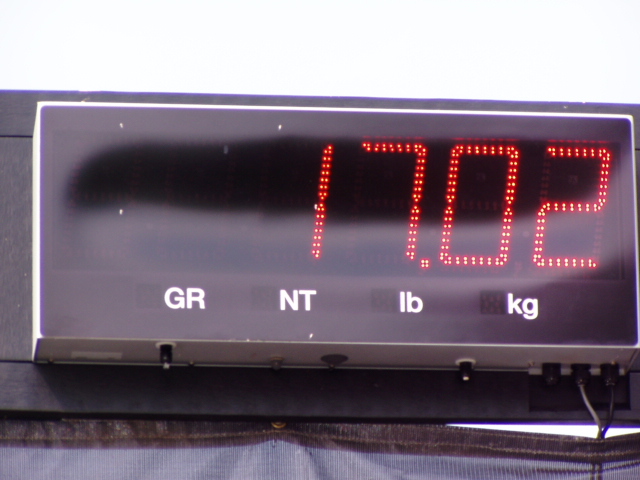 316C98DE-E01D-416D-8AB6-8D947DA7C859