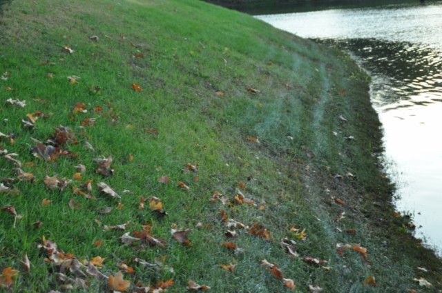 316CE60D-31A3-450C-95D2-F17BFA0CA55A