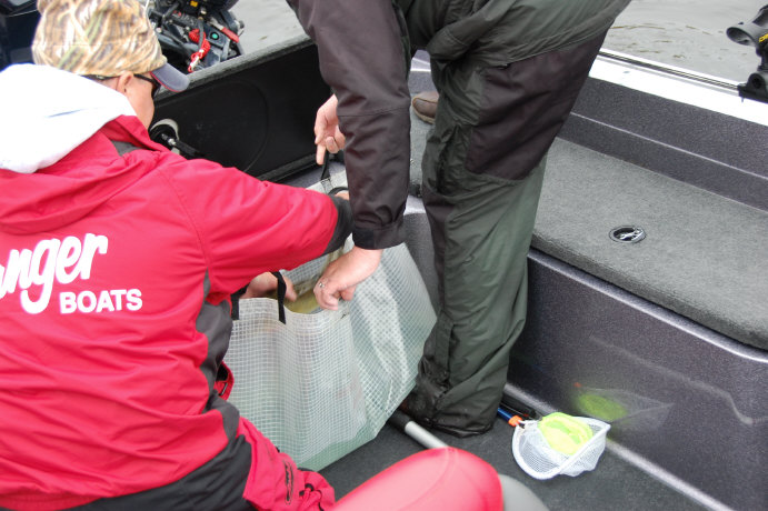 32174F2F-B58B-4172-B70C-A504DBE04631