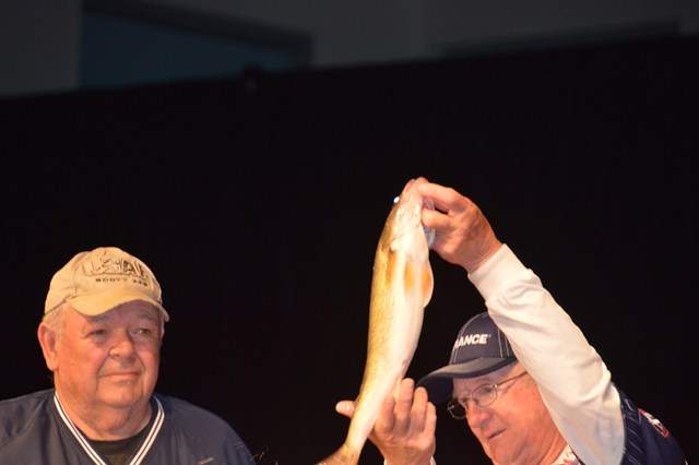 339C78F0-4696-4965-A931-54DEE692A9D3