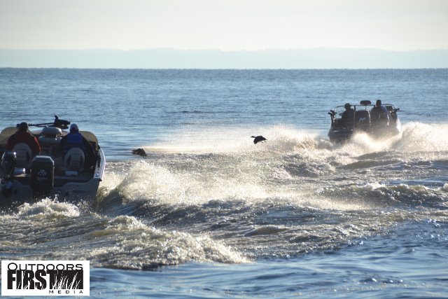 34D88CB8-1B0B-4676-99DB-A9F6C2EB1B01