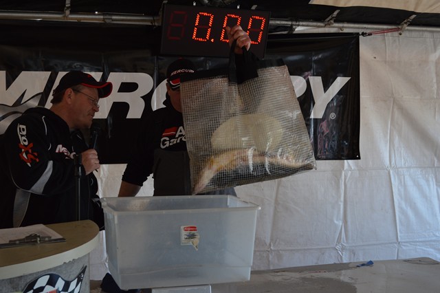 34F6E9A2-912E-42EA-B9BB-801D2851D2A1